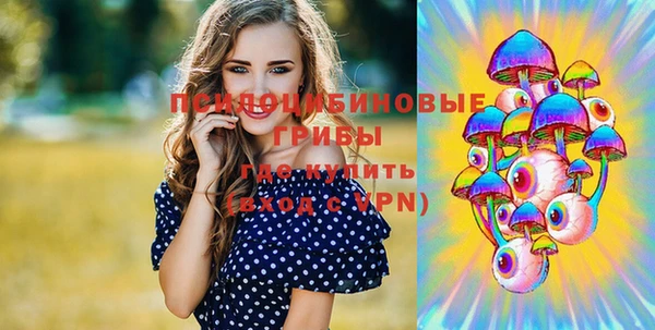 apvp Алексеевка