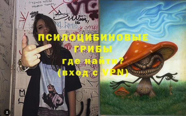 apvp Алексеевка